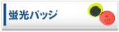 �u���o�b�W