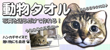 動物タオル
