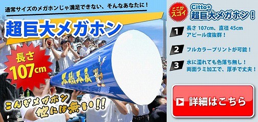 超巨大メガホン製作！