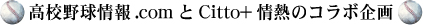 ���Z�싅���.com�~Citto+��M�̃R���{���I