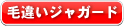 毛違いジャガード