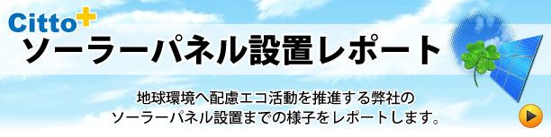 ソーラーパネル設置レポート