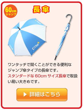 名入れ長傘